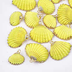 Yellow Spray Paint & Electroplate Sea Shell Pendants, with Iron Findings, Light Gold, Yellow, 16~26x17~28x7~10mm, Hole: 2mm