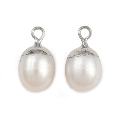Платина Круглые подвески из натурального жемчуга, с латунной фурнитурой , белые, платина, 14.5~15x8.5~9.5 мм, отверстие : 1.8 мм