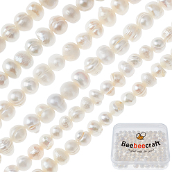 Creme-weiß 2 Stränge Klasse B natürliche Süßwasser-Zuchtperlen Stränge, Kartoffel, creme-weiß, 5~6 mm, Bohrung: 0.8 mm, ca. 70 Stk. / Strang, 13 Zoll~14 Zoll
