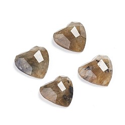 Лабрадорита Природные кабошон лабрадора, сердце, граненые, 10x10x3.5 мм