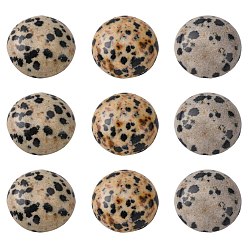 Dalmatian Jasper Gemstone Cabochons, Half Round/Dome, Dalmatian Jasper, 18x7mm