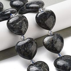 Larvikite Натуральные нити бус из ларвикита, сердце, с бисером, 19~19.5x20x10 мм, отверстие : 1.5 мм, около 17 шт / нитка, 15.75 дюйм (40 см)
