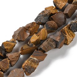 Œil De Tigre Brins de perles d'oeil de tigre naturel bruts bruts, nuggets, 4~11x4.5~14.5x4.5~14.5mm, Trou: 0.8mm, Environ 41~43 pcs/chapelet, 15.35~15.94'' (39~40.5 cm)