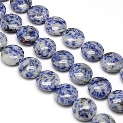 Blue Spot Jasper Natural Flat Round Blue Spot Jasper Beads Strands, 20x7~9mm, Hole: 1mm, about 20pcs/strand, 15.74 inch