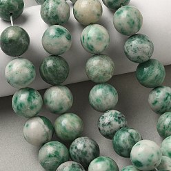 Камень с Зелеными Точками Натуральные зеленые пятна яшмовых нитей, круглые, 14~14.5 мм, отверстие : 1.4 мм, около 28~30 шт / нитка, 15.47~16.65'' (39.3~42.3 см)