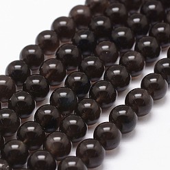 Coconut Brown Natural Obsidian Beads Strands, Grade A, Round, Coconut Brown, 12mm, Hole: 1mm, about 32pcs/strand, 15.7 inch