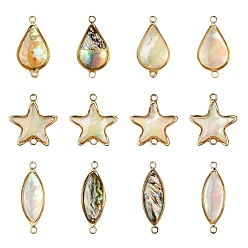 Mixed Shapes 12 шт. 6 стили латунные подвески-соединители с натуральным белым покрытием, золотые, разнообразные, 18~25x8~16x2.5~4.5 мм, отверстие : 1.4~1.6 мм, 2 шт / стиль
