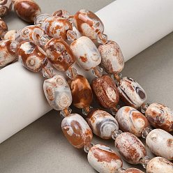 (404) Непрозрачное AB Кислое яблоко Природный агат бисер нитей, окрашенная и подогревом, овальные, с бисером, цветочный белый, 13.5~14x10~10.5 мм, отверстие : 1~1.2 мм, около 21 шт / нитка, 15~15.24'' (38.1~38.7 см)