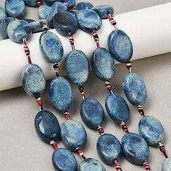 Стально-синий Природные пожары треск агат бисер нитей, покрасил и подогрел, Плоско-овальные, стальной синий, 24~26x16~18x9~11 мм, отверстие : 2 мм, около 13 шт / нитка, 17.32~18.11 дюйм (44~46 см)