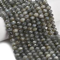 Лабрадорита Природные лабрадорита бисер нитей, рондель, граненые, 9.5~10x6.5~7.5 мм, отверстие : 1 мм, около 54~57 шт / нитка, 15.24~15.43'' (38.7~39.2 см)