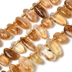 Желтый Кварц Природный желтый кварц нитей бисера, самородки, с подогревом, Топ пробуренной, с бисером, 10~28x4~12x4~8 мм, отверстие : 0.9 мм, около 42~56 шт / нитка, 15.16''~15.55'' (38.5~39.5 см)