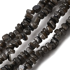 Черный Естественных пресноводных стеклянные бусы, окрашенные, самородки, чёрные, 4.5~9x4.5~7x1.5~5 мм, отверстие : 0.8 мм, около 163~165 шт / нитка, 14.88~15.08'' (37.8~38.3 см)