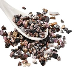 Леопардовая Яшма Натуральная кожа леопарда, чип, нет отверстий / незавершенного, 1.5~1.7x1.5~5x1~2.5 мм