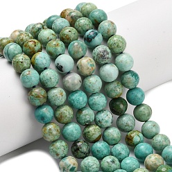 Peruvian Turquoise(Jasper) Бусы натуральная перуанская бирюза (яшма), круглые, круглые, 8~9 мм, отверстие : 0.8 мм, около 47 шт / нитка, 15.51 дюйм (39.4 см)
