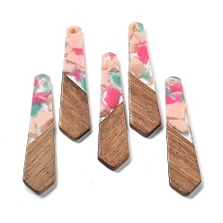 Голубой Подвески из смолы и ореха, трапециевидные, голубой, 48.5x12x2.5 мм, отверстие : 2 мм