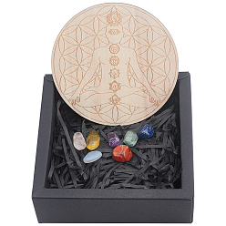 Mixed Stone Yoga Theme, Chakra Beginners Kit, Healing Stones, with Natural Wood Plate, Spiritual Gifts for Women, 15~19x6.5~9mm