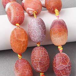 Красный Естественные выветрившиеся агатовые бусины, окрашенная и подогревом, овальные, красные, 29~30x17~21 мм, отверстие : 2.5 мм, около 11 шт / нитка, 15.35~16.26'' (39~41.3 см)