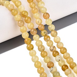 Yellow Opal Natural Yellow Opal Beads Strands, Smooth Round, 6mm, Hole: 0.7~0.8mm, about 63~66pcs/strand, 14.96~15.35 inch(38~39cm)