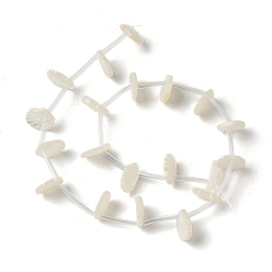 Creamy White Natural White Shell Mother of Pearl Shell Beads, Top Drilled, Shell, Creamy White, 10x10x3mm, Hole: 1mm, about 20pcs/strand, 10.63''(27cm)