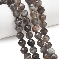 Black Moonstone Натуральный черный лунный камень бисер пряди, класса AB, граненый (64 граней), круглые, 10 мм, отверстие : 1 мм, около 43 шт / нитка, 15.35'' (39 см)