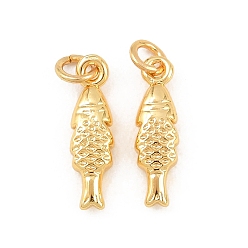 Fish Латунь прелести, без свинца и без кадмия, стойки покрытие, долговечный, реальный 18 k позолоченный, рыба, 14.5x4x2.5 мм, Перейти кольцо: 4x0.7 мм, внутренний диаметр: 2.5 мм