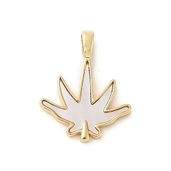 Настоящее золото 18K Подвески из латуни с натуральными белыми ракушками, лист прелести, долговечный, без свинца и без кадмия, стойки покрытие, реальный 18 k позолоченный, 22x18x2 мм, отверстие : 4x2.5 мм