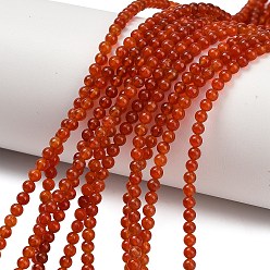 Красный Агат Природного сердолика нитей бисера, круглые, окрашенная и подогревом, 3~3.5 мм, отверстие : 0.7 мм, около 135~139 шт / нитка, 14.76''~14.96'' (37.5~38 см)