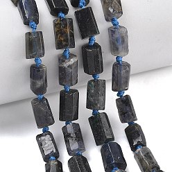 Айолит Природные иолит нитей бисера, граненые, колонка, 7.5~12.5x6~7.5x6~8 мм, отверстие : 0.8~1.2 мм, около 30~34 шт / нитка, 15.35''~17.32'' (39~44 см)