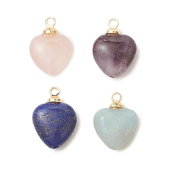Золотой Натуральные подвески в форме сердца из аметиста, амазонита, лазурита и розового кварца, а также цветка., с латунной поручительств, золотые, 14~15x10~11x5 мм, отверстие : 1.6 мм