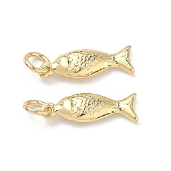 Настоящее золото 18K Латунные подвески, рыбы прелести, без кадмия и без свинца, долговечный, стойки покрытие, реальный 18 k позолоченный, 16.5x5x3 мм, Перейти кольцо: 5x0.8 мм, внутренний диаметр: 3 мм