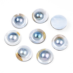 Морская Ракушка Естественно оболочки кабошоны, плоско-круглые, цвет морской раковины, 24~25x7.5~9.5 мм