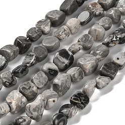 Камень Карты Натуральная карта каменные бусы пряди, самородки, упавший камень, 7~13x4.5~10x4.5~10 мм, отверстие : 1.2 мм, около 44~46 шт / нитка, 15.08''~16.14'' (38.3~41 см)