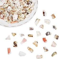 Antique White 3 Strands 3 Style Natural Spiral Shell Bead Strands, Trochid Shell/Trochus Shell Bead Strands, Nuggets Chips, Antique White, 8~28x7~16x2~15mm, Hole: 1~1.2mm, 1 strand/style