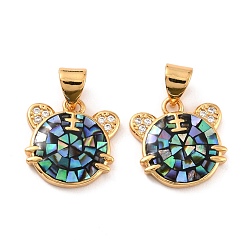 Золотой Натуральные раковины, с прозрачным фианитом и фурнитурой из латуни, долговечный, тигр, золотые, 13.5x13.5x3 мм, отверстие : 5x3.5 мм