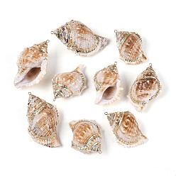 Морская Ракушка Подвески из натуральных морских ракушек, покрытые методом гальванического покрытия, подвески в форме ракушек, с медными петлями, золотые, цвет морской раковины, 49~65x34~43x24~32 мм, отверстие : 1.6~2 мм