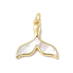 Whale Подвески из латуни с натуральными белыми ракушками, реальный 18 k позолоченный, с прыжковых колец, долговечный, без свинца и без кадмия, стойки покрытие, Whale Tail, 17x17.5x2 мм, отверстие : 3 мм