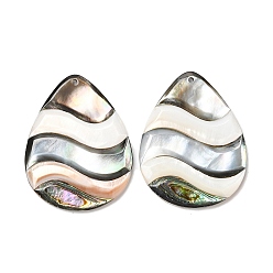 Разные Ракушки Большие подвески из натуральной пресноводной ракушки, черной ракушки для губ и ракушки пауа, подвески-капли с волнистым узором, 51~51.5x39.5x4.5 мм, отверстие : 1.8 мм