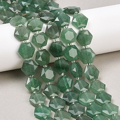 Зеленый Авантюрин Естественный зеленый авантюрин бисер нитей, с бисером, граненый шестиугольный разрез, шестиугольник, 12x13~13.5x5.5~6 мм, отверстие : 1.2 мм, около 28 шт / нитка, 15.55 дюйм (39.5 см)