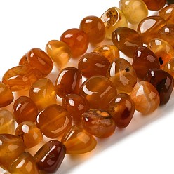 Dark Orange Natural Agate Beads Strands, Dyed & Heated, Nuggets, Tumbled Stone, Dark Orange, 6.5~13x10~13x1.5~11mm, Hole: 1.6mm, about 22pcs/strand, 7.20~7.72''(18.3~19.6cm)