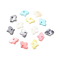 Mixed Color Natural Freshwater Shell Charms, Dyed, Autumn Maple Leaf, Mixed Color, 11x14x1.5mm, Hole: 1.6mm