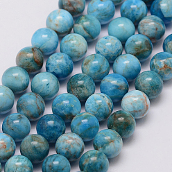 Apatite Natural Apatite Beads Strands, Grade AB, Round, 8mm, Hole: 1mm, about 49pcs/strand, 14.9 inch(38cm)