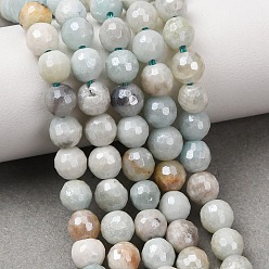 Flower Amazonite Нити из натуральных цветочных бусин амазонита с гальваническим покрытием, круглые, граненые, гальваническое покрытие, 6~6.5 мм, отверстие : 0.8~1 мм, около 62 шт / нитка, 14.92''~15.12'' (37.9~38.4 см)