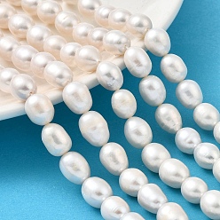 Желтая Старая Ткань  Нити из натурального культивированного пресноводного жемчуга, рис, класс 3а+, старое кружево, 9~10 мм, отверстие : 0.6 мм, около 35~36 шт / нитка, 15.55''~15.75'' (39.5~40 см)