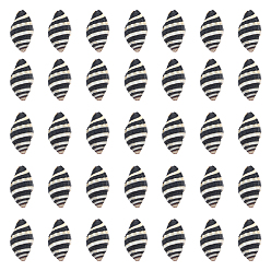 Черный 50шт. Натуральные спиральные бусины-ракушки, неочищенные / без отверстий, чёрные, 10.5~16x6~11.5x6~10 мм