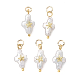 Золотой Подвески из натурального барочного жемчуга кеши, Подвески в виде креста с фрагментом морской звезды из сплава, белые, золотые, 19~19.5x9~9.5x4.5~5.5 мм, Перейти кольцо: 5x0.8 мм, внутренний диаметр: 3.3 мм