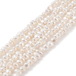 Античный Белый Гальванические оболочки жемчужные бусы пряди, самородки, старинный белый, 4~6x6~10x4~6 мм, отверстие : 1 мм, около 88 шт / нитка, 16.10 дюйм (40.9 см)