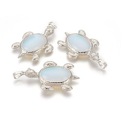 Opalite Opalite Pendants, with Alloy Findings, Tortoise, Platinum, 49x31.5x7mm, Hole: 8x5mm