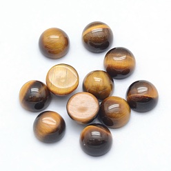 Tiger Eye Natural Tiger Eye Cabochons, Half Round, 6x3~3.5mm