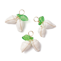 Белый Подвески из натуральной морской ракушки, обмотанные медной проволокой, с акриловым листом цвета зеленого лайма, золотые, белые, 15~21x16~21.5x5.5~8 мм, отверстие : 3.5 мм