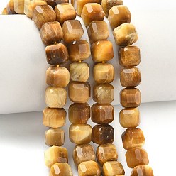 Тигровый глаз Натуральный золотой тигр глаз бисер пряди, граненый стол, вырезанный куб, 8.5~9.8x8.5~9.8x8.5~9.8 мм, отверстие : 0.8~1.2 мм, около 45~46 шт / нитка, 14.96~15.47 дюйм (38~39.3 см)